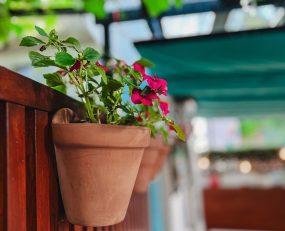 terraza tapería 2 eles (4)